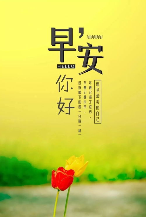 正能量句子經(jīng)典早安語(yǔ)錄