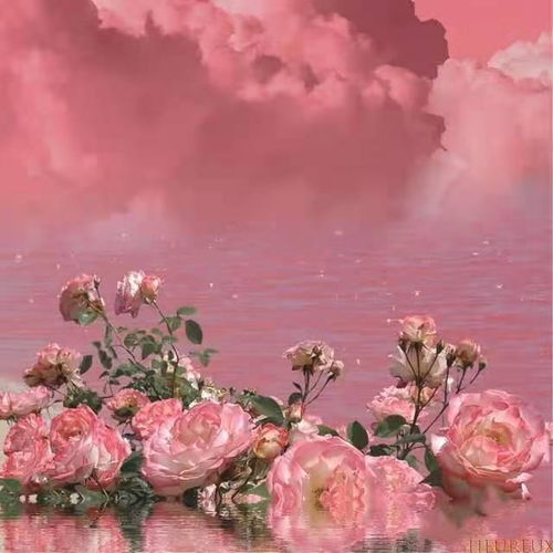 溫柔又暖的正能量句子,溫柔又暖的正能量句子8個字,極致正能量的短句子