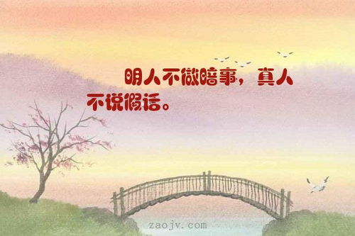 合伙,句子,能量,做事