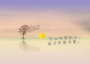 關(guān)于相遇的正能量句子