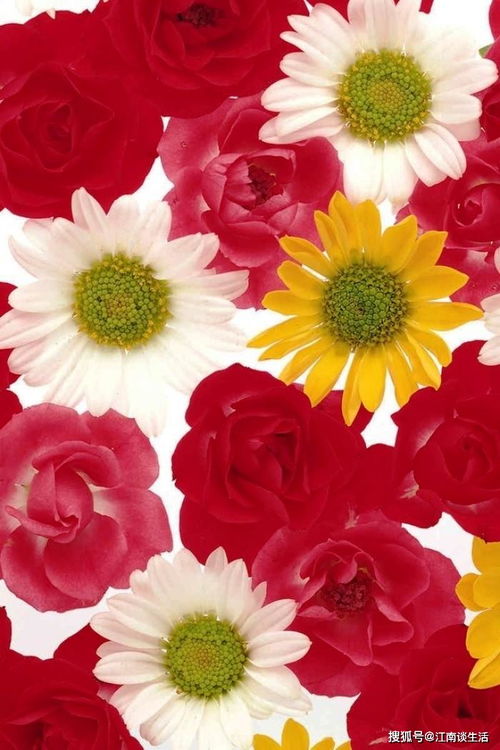 奮發(fā)圖強(qiáng)正能量的句子