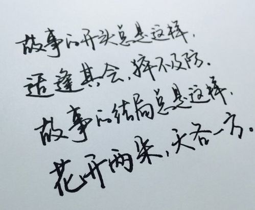 詩經(jīng),積極向上,句子,能量