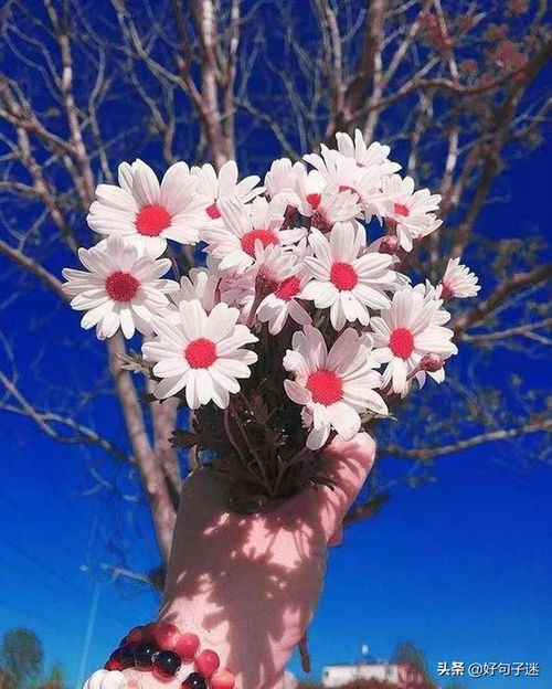 形容自信滿滿正能量的句子