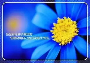 句子,簡潔,能量,經(jīng)典