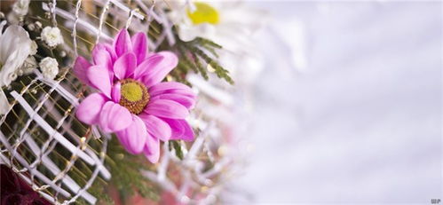 爆棚,句子,能量,愛情