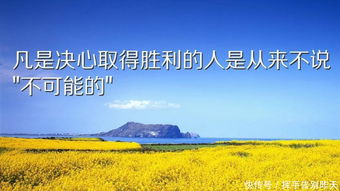 句子,語句,能量,感悟