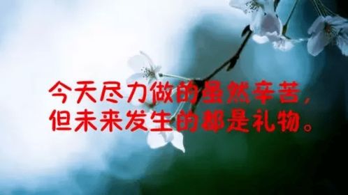 鼓勵(lì)自己的正能量句子