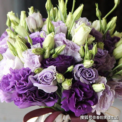 關(guān)于抖音美食的正能量句子