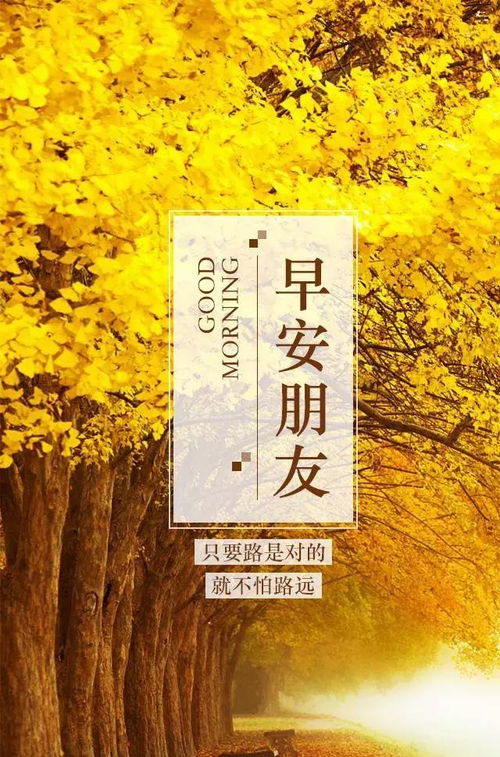 熱愛祖國(guó)正能量的句子,陽光正能量的句子,晚安正能量句子