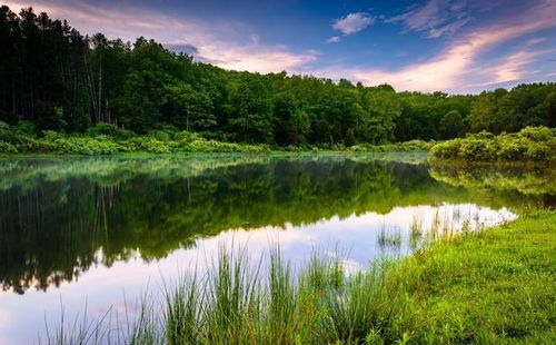 早上發(fā)圈正能量滿滿的句子,護膚品早上發(fā)圈正能量的句子,早上發(fā)圈的正能量和句子