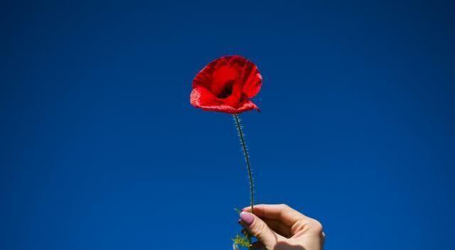 正能量青春熱血句子