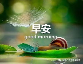 句子,能量,問候