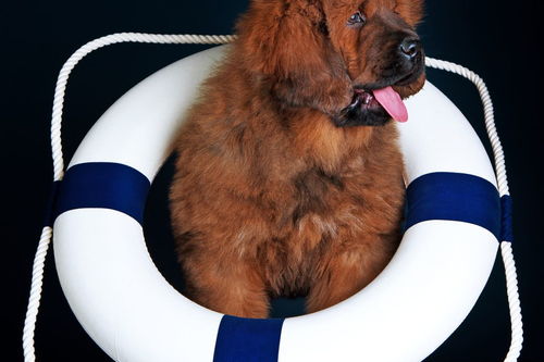 正能量的句子15個(gè)字左右