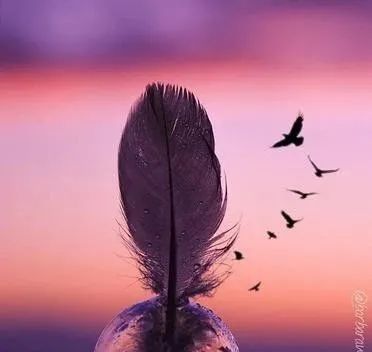 幣圈正能量句子,晚安圈軟文正能量句子,朋友圈勵(lì)志的句子