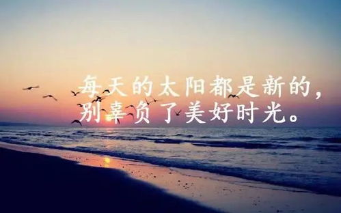 句子,能量,感悟,經(jīng)典