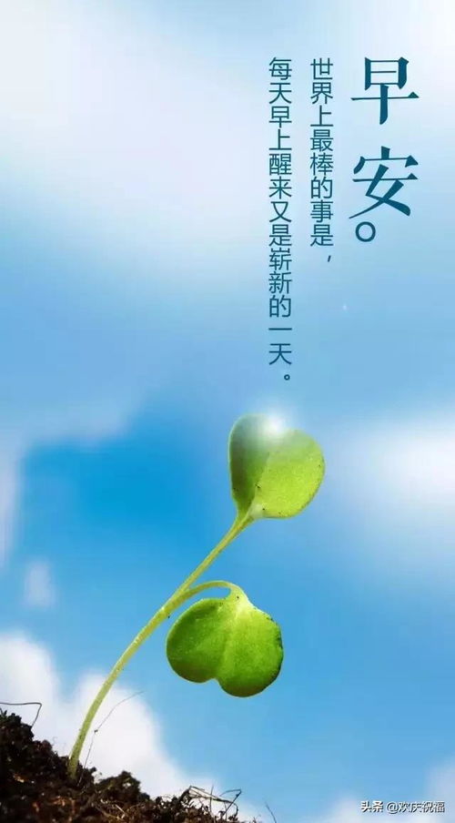 努力奮斗早安正能量的句子,努力奮斗早安正能量的句子簡單,早安正能量努力奮斗句子