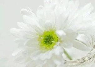 傷感帶有正能量的句子,成長傷感正能量的句子,傷感正能量的句子經(jīng)典語句