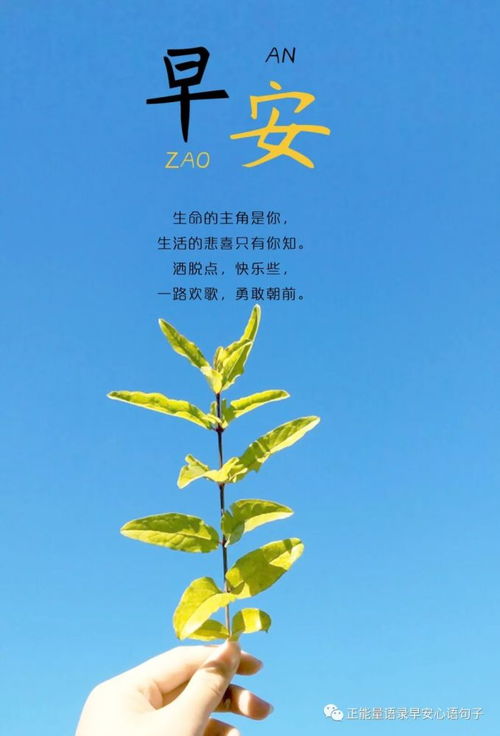 早安,上進(jìn),句子,激勵(lì)