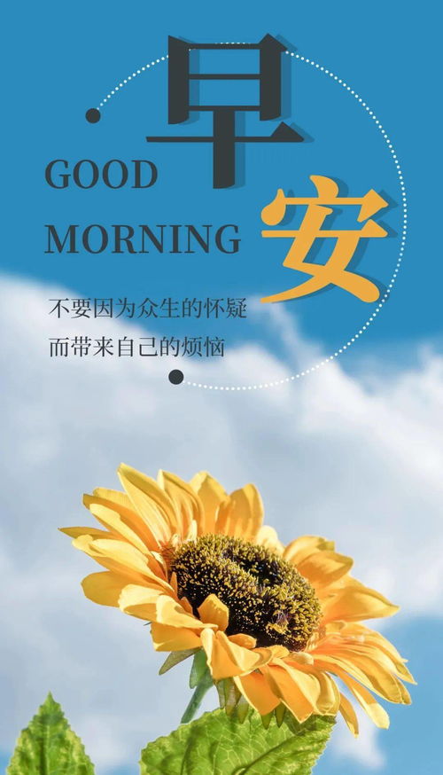 忙碌一天開始正能量的句子,忙碌一天結(jié)束正能量的句子,一天一句正能量句子