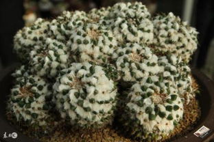 銷(xiāo)售專(zhuān)員正能量句子