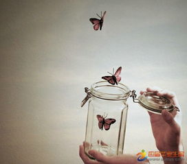 句子,能量,描述,陽光