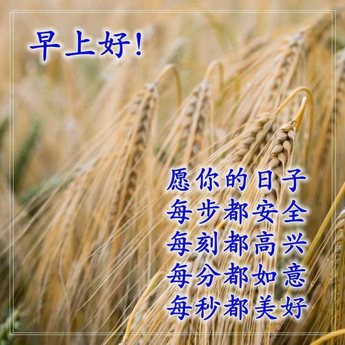 拼搏在路上正能量的句子早上好