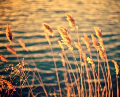 秋風(fēng)微涼正能量的句子