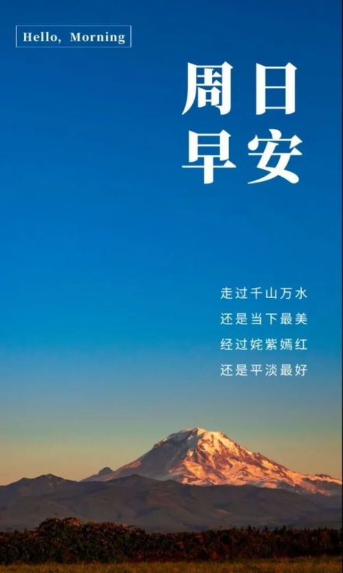 關(guān)于堅持的正能量句子,懂得感恩的正能量句子,新的開始新的起點正能量句子