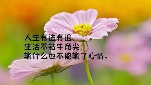 正能量美好的句子400