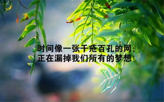 正能量的生活句子經(jīng)典小短文