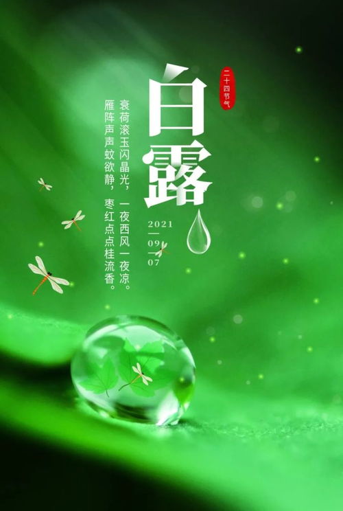 女人陽光自信的句子正能量,迎著陽光的正能量句子,生活陽光正能量的句子