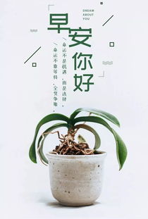 發(fā)朋友圈陽光心態(tài)正能量句子