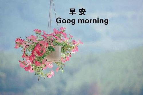 句子,朋友圈,滿滿,能量