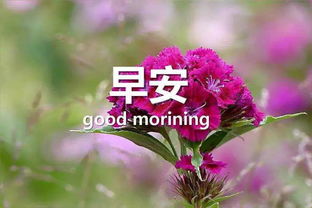 2021抖音早安正能量句子