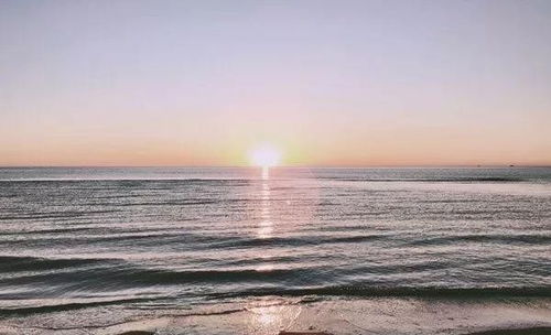 書里正能量的句子