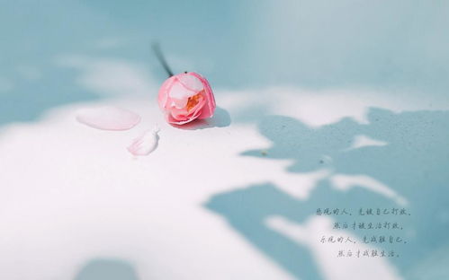 鼓勵(lì)早安心語(yǔ)正能量句子