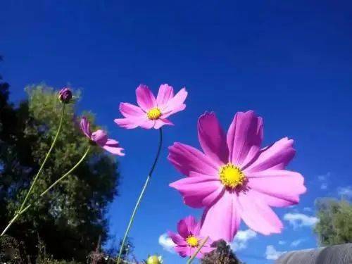 正能量小美好的句子