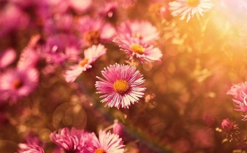 讓人充滿正能量的句子看完收獲很多