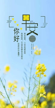 早上心語正能量的句子和