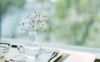 句子,能量,渡過難關(guān)