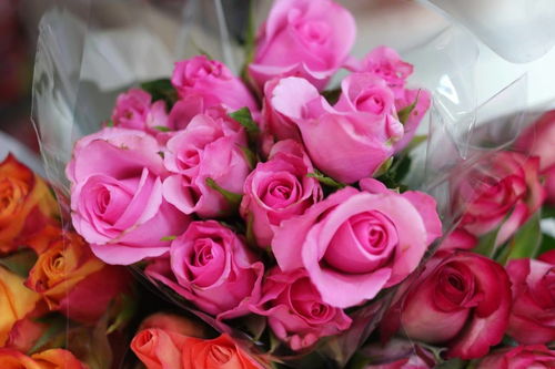 熱愛生活熱愛運(yùn)動(dòng)正能量的句子,熱愛生活熱愛美食正能量的句子,熱愛生活熱愛工作正能量的句子