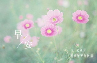 正能量早安問候語句子