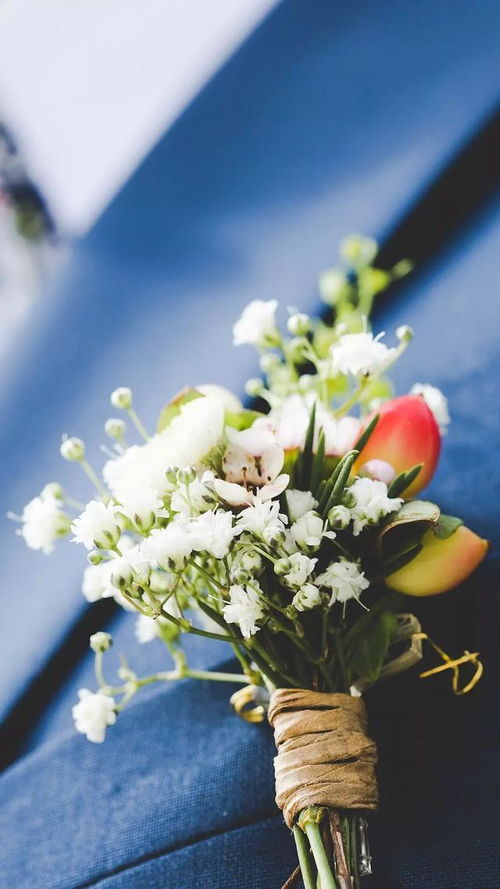 正能量陽光清新句子簡短,網(wǎng)紅小清新句子簡短正能量,清新正能量的句子