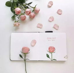 正能量句子發(fā)抖音