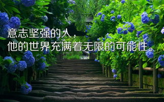 句子,能量,心態(tài),喜歡