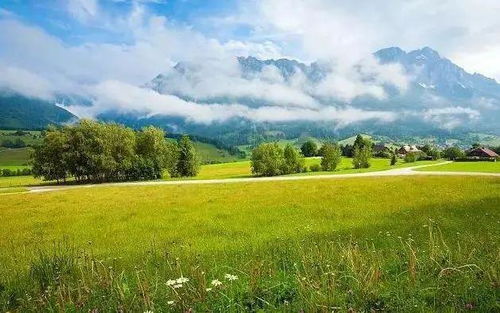 認輸,句子,能量,永不