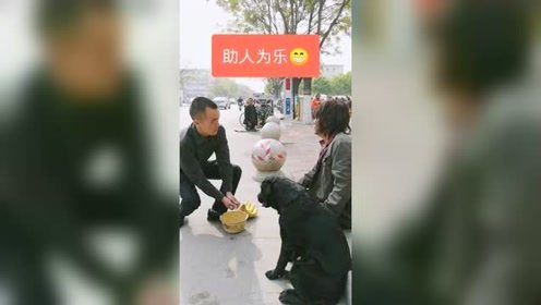 助人為樂正能量的句子