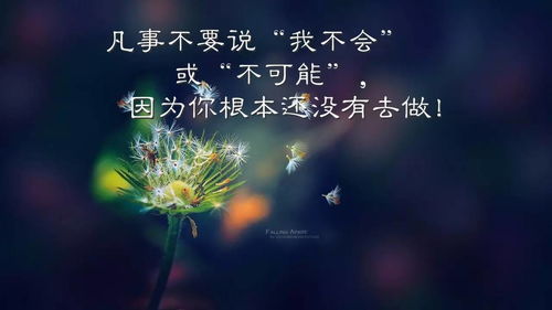 20o正能量的句子經(jīng)典語句