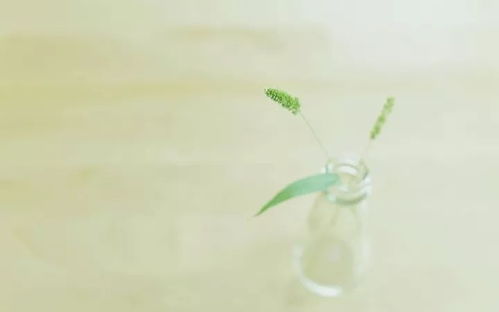 正能量激勵人的短句子發(fā)圈