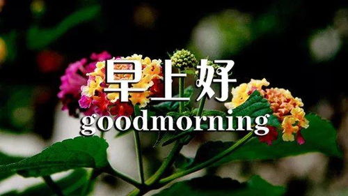 早上好勵(lì)志正能量句子,早上好勵(lì)志正能量朋友圈句子大全,早上好勵(lì)志正能量句子2020